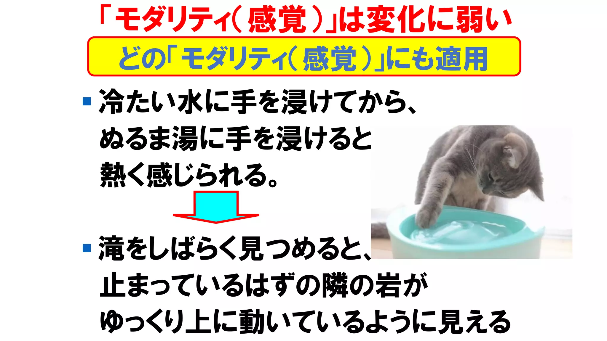 「モダリティ（感覚）」は変化に弱い
▪ 冷たい水に手を浸けてから、
ぬるま湯に手を浸けると、
熱く感じられる。
▪ 滝をしばらく見つめると、
止まっているはずの隣の岩が
ゆっくり上に動いているように見える
どの「モダリティ（感覚）」にも適用
 