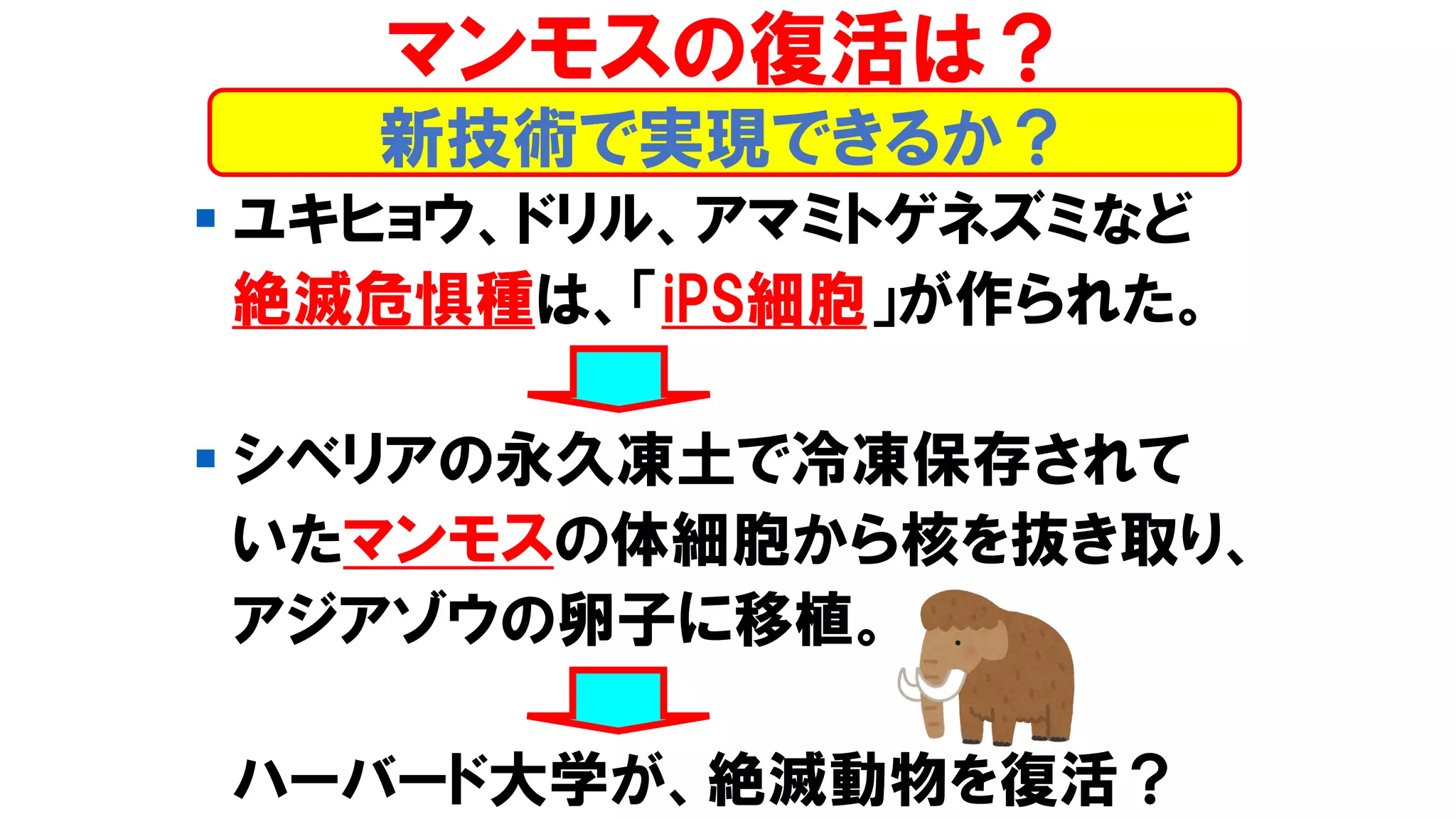 ▪ ユキヒョウ、ドリル、アマミトゲネズミなど
絶滅危惧種は、「iPS細胞」が作られた。
▪ シベリアの永久凍土で冷凍保存されて
いたマンモスの体細胞から核を抜き取り、
アジアゾウの卵子に移植。
ハーバード大学が、絶滅動物を復活？
新技術で実現できるか？
マンモスの復活は？
 