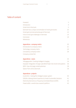 Copenhagen Cleantech Cluster - A European Smart Grid Hub | PDF