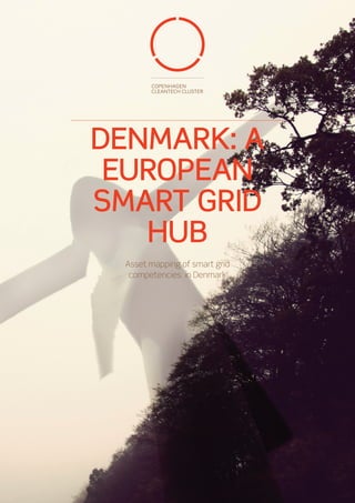 DENMARK: A
 EUROPEAN
SMART GRID
   HUB
 Asset mapping of smart grid
  competencies in Denmark
 