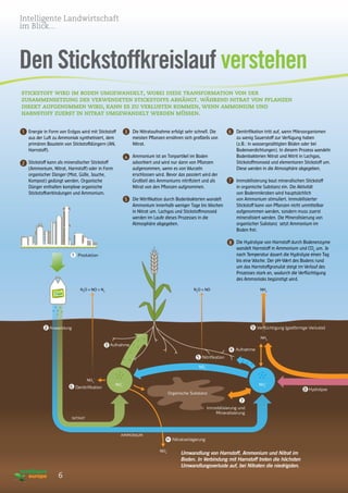 NO2
–
NO3
–
NO2
–
N2
O + NON2
O + NO + N2
NH3
NO3
–
NH4
+
NH3
AN
stickstoff wird im boden umgewandelt, wobei diese transformation von der
zusammensetzung des verwendeten stickstoffs abhängt. während nitrat von pflanzen
direkt aufgenommen wird, kann es zu verlusten kommen, wenn ammonium und
harnstoff zuerst in nitrat umgewandelt werden müssen.
Den Stickstoffkreislauf verstehen
6
Umwandlung von Harnstoff, Ammonium und Nitrat im
Boden. In Verbindung mit Harnstoff treten die höchsten
Umwandlungsverluste auf, bei Nitraten die niedrigsten.
Energie in Form von Erdgas wird mit Stickstoff
aus der Luft zu Ammoniak synthetisiert, dem
primären Baustein von Stickstoffdüngern (AN,
Harnstoff).
Stickstoff kann als mineralischer Stickstoff
(Ammonium, Nitrat, Harnstoff) oder in Form
organischer Dünger (Mist, Gülle, Jauche,
Kompost) gedüngt werden. Organische
Dünger enthalten komplexe organische
Stickstoffverbindungen und Ammonium.
Die Nitrataufnahme erfolgt sehr schnell. Die
meisten Pflanzen ernähren sich großteils von
Nitrat.
Ammonium ist an Tonpartikel im Boden
adsorbiert und wird nur dann von Pflanzen
aufgenommen, wenn es von Wurzeln
erschlossen wird. Bevor das passiert wird der
Großteil des Ammoniums nitrifiziert und als
Nitrat von den Pflanzen aufgnommen.
Die Nitrifikation durch Bodenbakterien wandelt
Ammonium innerhalb weniger Tage bis Wochen
in Nitrat um. Lachgas und Stickstoffmonoxid
werden im Laufe dieses Prozesses in die
Atmosphäre abgegeben.
Denitrifikation tritt auf, wenn Mikroorganismen
zu wenig Sauerstoff zur Verfügung haben
(z.B.: in wassergesättigten Böden oder bei
Bodenverdichtungen). In diesem Prozess wandeln
Bodenbakterien Nitrat und Nitrit in Lachgas,
Stickstoffmonoxid und elementaren Stickstoff um.
Diese werden in die Atmosphäre abgegeben.
Immobilisierung baut mineralischen Stickstoff
in organische Substanz ein. Die Aktivität
von Bodenmikroben wird hauptsächlich
von Ammonium stimuliert. Immobilisierter
Stickstoff kann von Pflanzen nicht unmittelbar
aufgenommen werden, sondern muss zuerst
mineralisiert werden. Die Mineralisierung von
organischer Substanz setzt Ammonium im
Boden frei.
Die Hydrolyse von Harnstoff durch Bodenenzyme
wandelt Harnstoff in Ammonium und CO2
um. Je
nach Temperatur dauert die Hydrolyse einen Tag
bis eine Woche. Der pH-Wert des Bodens rund
um das Harnstoffgranulat steigt im Verlauf des
Prozesses stark an, wodurch die Verflüchtigung
des Ammoniaks begünstigt wird.
1
2
3
4
6
7
8
5
1 Produktion
DA NDirectly Available Nitrogen
2 Anwendung
3 Aufnahme
6 Denitrifikation
Nitrat
Ammonium
10 Nitratverlagerung
5 Nitrifikation
9 Verflüchtigung (gasförmige Verluste)
4 Aufnahme
Organische Substanz
Immobilisierung und
Mineralisierung
8
7
Hydrolyse
Intelligente Landwirtschaft
im Blick...
 