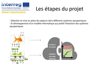 Les étapes du projet
- Sélection et mise en place de capteurs dans différents systèmes aquaponiques
- Et développement d’u...