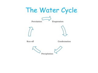 The Water Cycle
    Percolation          Evaporation




Run-off                       Condensation




              Precipitation
 