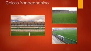 Coloso Yanacanchino