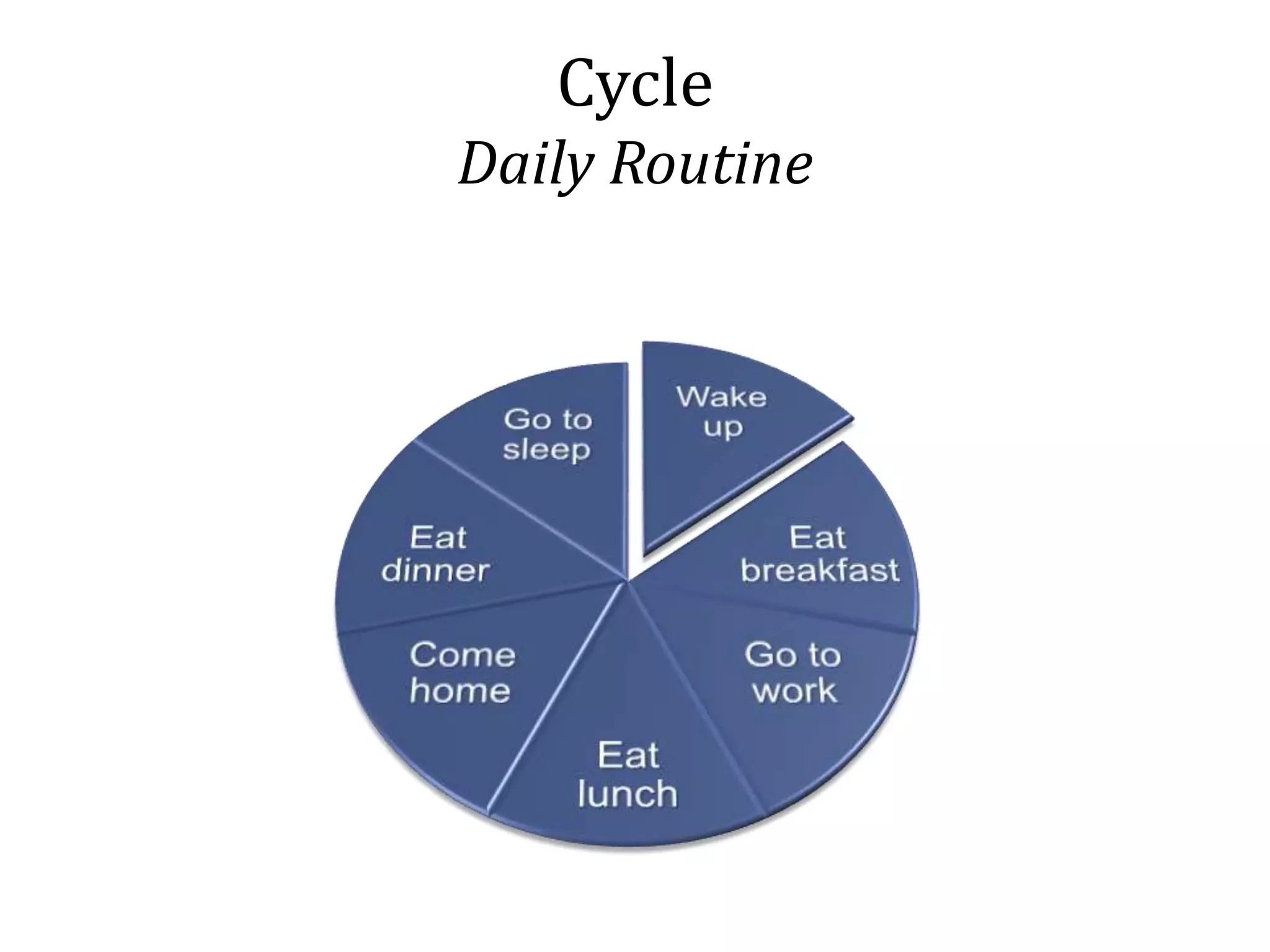 Cycle
Daily Routine
