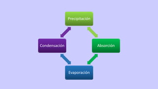 Precipitación
Absorción
Evaporación
Condensación
 