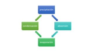precipitación
absorción
evaporación
condensación
 