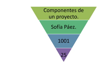Componentes de
un proyecto.
Sofía Páez.
1001
25
 