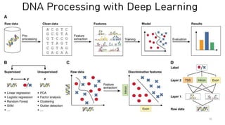 DNA Processing with Deep Learning
78
 