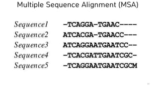 Multiple Sequence Alignment (MSA)
81
 
