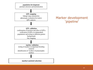 Marker development
‘pipeline’
19
 