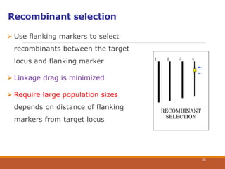 Recombinant selection
 Use flanking markers to select
recombinants between the target
locus and flanking marker
 Linkage drag is minimized
 Require large population sizes
depends on distance of flanking
markers from target locus
RECOMBINANT
SELECTION
1 2 3 4
26
 