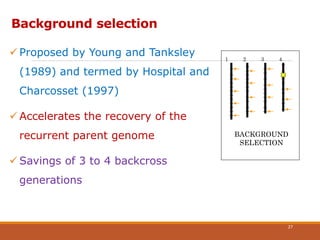 Background selection
 Proposed by Young and Tanksley
(1989) and termed by Hospital and
Charcosset (1997)
 Accelerates the recovery of the
recurrent parent genome
 Savings of 3 to 4 backcross
generations
1 2 3 4
BACKGROUND
SELECTION
27
 