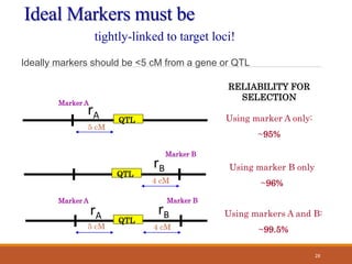 Ideal Markers must be
Ideally markers should be <5 cM from a gene or QTL
tightly-linked to target loci!
Marker A
QTL
5 cM
RELIABILITY FOR
SELECTION
Using marker A only:
~95%
rA
QTL
Marker B
4 cM
Using marker B only
~96%
rB
Marker A
QTL
Marker B
5 cM 4 cM
Using markers A and B:
~99.5%
rA rB
28
 