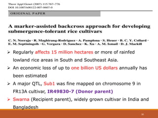  Regularly affects 15 million hectares or more of rainfed
lowland rice areas in South and Southeast Asia.
 An economic loss of up to one billion US dollars annually has
been estimated
 A major QTL, Sub1 was fine mapped on chromosome 9 in
FR13A cultivar, IR49830-7 (Donor parent)
 Swarna (Recipient parent), widely grown cultivar in India and
Bangladesh
30
 