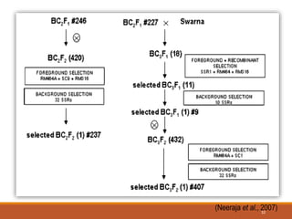 (Neeraja et al., 2007)32
 