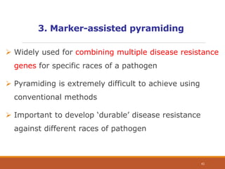 3. Marker-assisted pyramiding
 Widely used for combining multiple disease resistance
genes for specific races of a pathogen
 Pyramiding is extremely difficult to achieve using
conventional methods
 Important to develop ‘durable’ disease resistance
against different races of pathogen
41
 