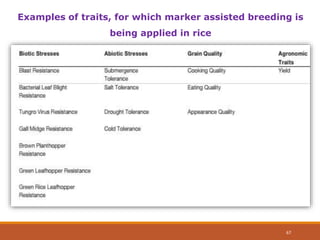 Examples of traits, for which marker assisted breeding is
being applied in rice
67
 