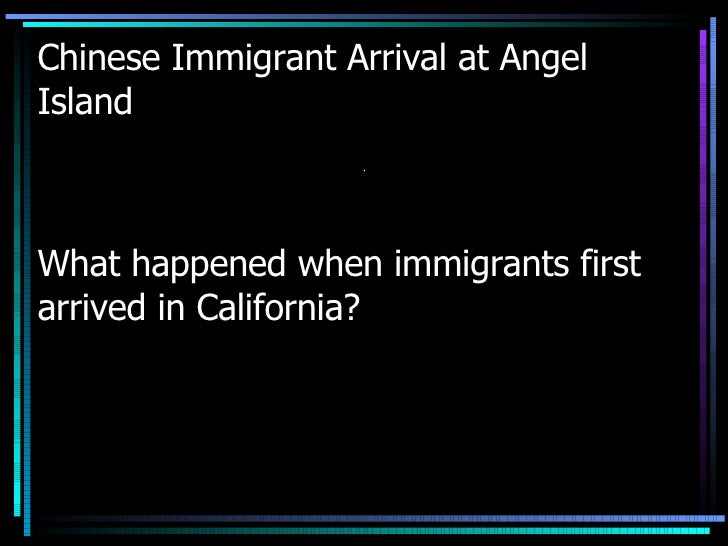 What Food Did Chinese Immigrants Bring To America What Food Did Chinese Immigrants Bring To America