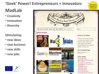 ‘ Geek’ Power! Entrepreneurs + Innovators MadLab  Creativity Innovation Diversity Stimulating: new ideas new business new skills new jobs 