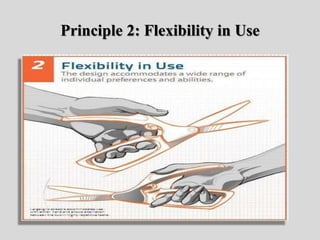 Principle 2: Flexibility in Use
 