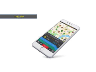 THE APP
 