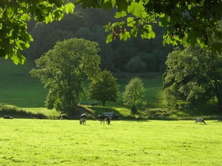 If you have been …
Thank you for listening
 