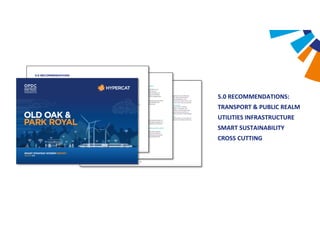 5.0 RECOMMENDATIONS:
TRANSPORT & PUBLIC REALM
UTILITIES INFRASTRUCTURE
SMART SUSTAINABILITY
CROSS CUTTING
 
