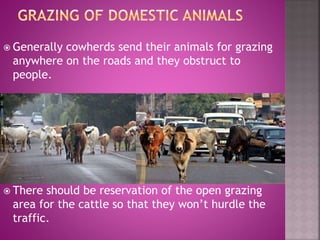  Generally cowherds send their animals for grazing
anywhere on the roads and they obstruct to
people.
 There should be reservation of the open grazing
area for the cattle so that they won’t hurdle the
traffic.
 
