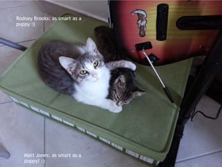 Rodney Brooks: as smart as a
puppy :(
Matt Jones: as smart as a
puppy! :)
 