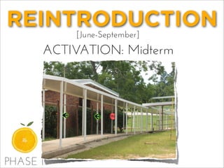REINTRODUCTION
[June-September]
ACTIVATION: Midterm
PHASE 1
 