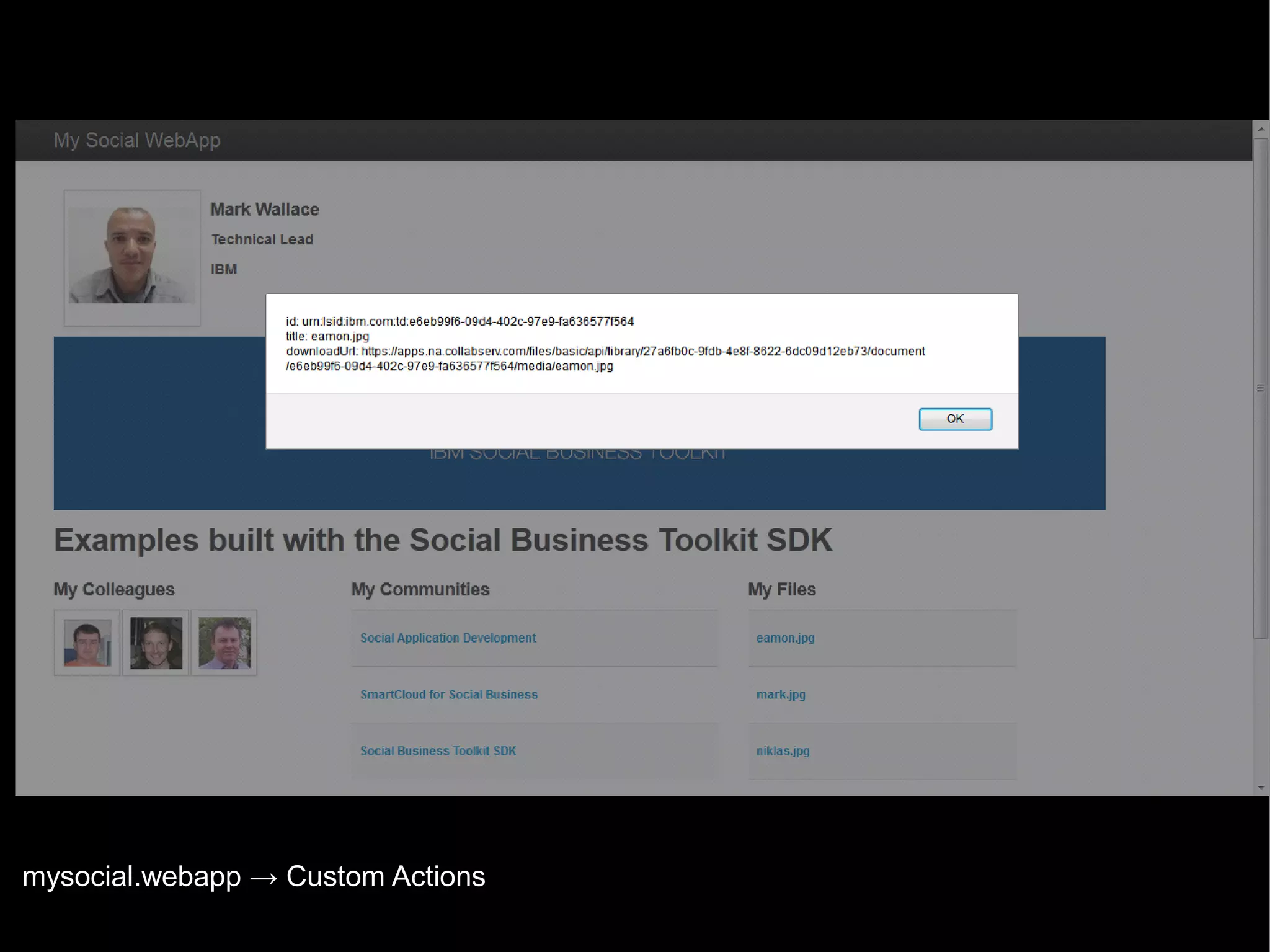mysocial.webapp → Custom Actions
© 2013 IBM Corporation

 