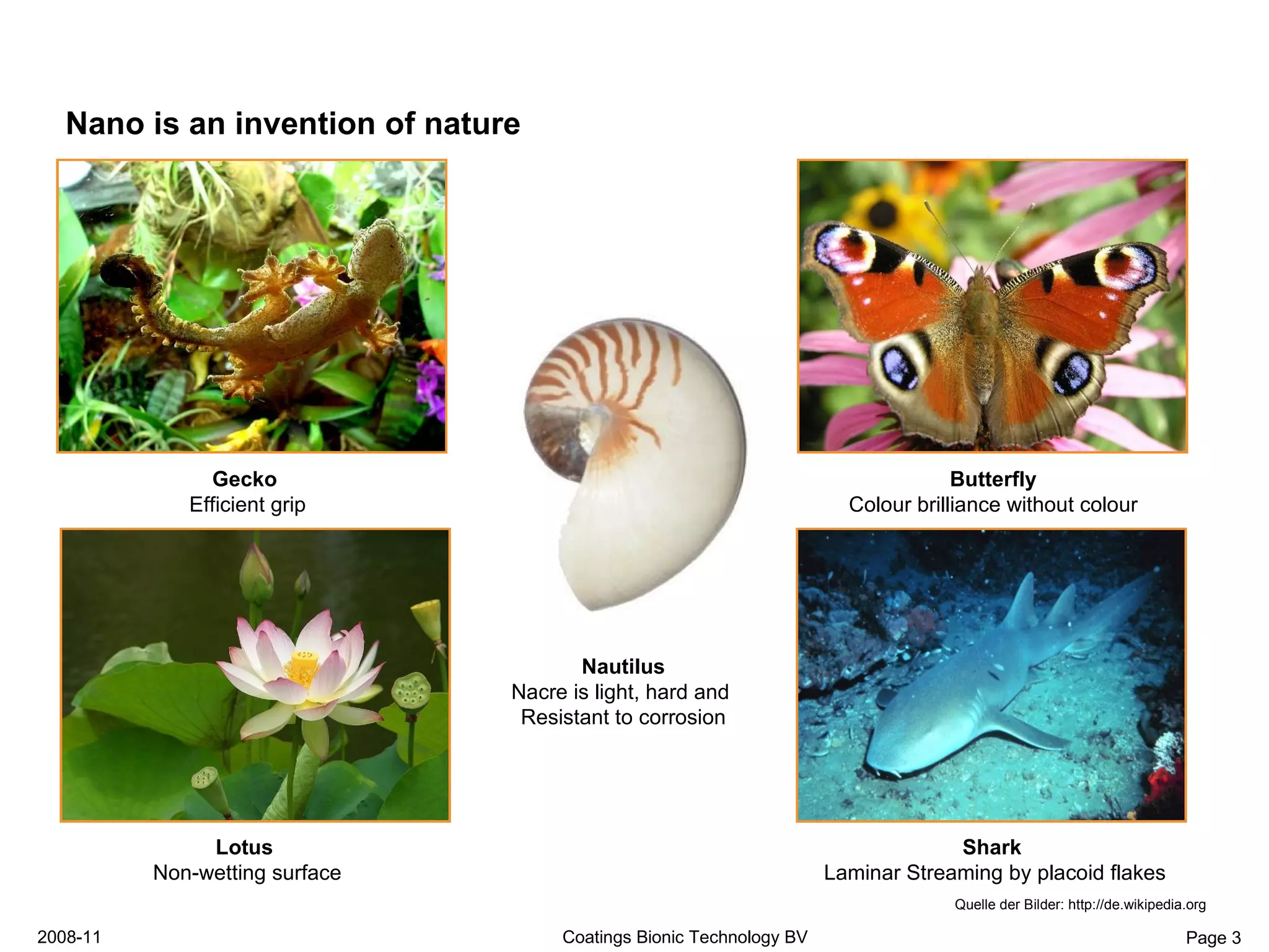 Smart Coatings Presentation Bionic Technology Definitief | PPT