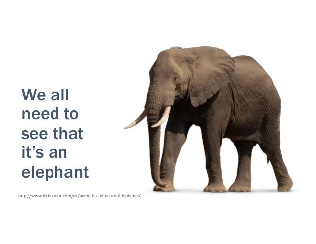 рев слона. черный слон. части тела слона. карточки по английскому языку слон. части тела слона на английском.