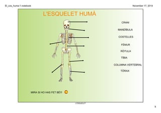 El_cos_huma­1. 
notebook 
9 
November 17, 2014 
L'ESQUELET HUMÀ 
L'ESQUELET 
CRANI 
MANDÍBULA 
COSTELLES 
FÉMUR 
RÒTULA 
TÍBIA 
COLUMNA VERTEBRAL 
TÓRAX 
MIRA SI HO HAS FET BÉ!!! 
 