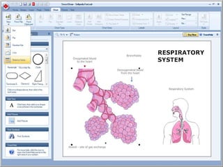 u090927\ Smartdraw | PPTX | Computer Software and Applications | Computing