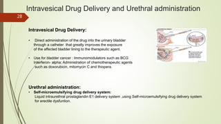 Intravesical Drug Delivery and Urethral administration
Intravesical Drug Delivery:
• Direct administration of the drug into the urinary bladder
through a catheter that greatly improves the exposure
of the affected bladder lining to the therapeutic agent.
• Use for bladder cancer : Immunomodulators such as BCG
Interferon- alpha; Administration of chemotherapeutic agents
such as doxorubicin, mitomycin C and thiopera.
Urethral administration:
• Self-microemulsifying drug delivery system:
Liquid intraurethral prostaglandin E1 delivery system ,using Self-microemulsifying drug delivery system
for erectile dysfuntion.
28
 