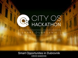 CECO GAKOVIC
Smart Opportunites in Dubrovnik
 