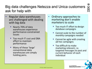 Big data challenges Netezza and Unica customers
ask for help with
• Regular data warehouses                 • Ordinary app...