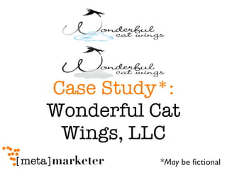 Case Study*:  Wonderful Cat Wings, LLC * May  be fictional 