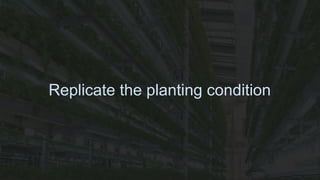 Replicate the planting condition
 