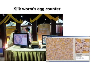 Silk worm's egg counter
 
