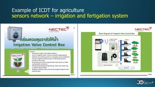sensors network – irrigation and fertigation system