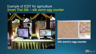 Smart Thai Silk – silk worm egg counter
