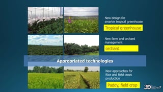 New design for
smarter tropical greenhouse
New farm and orchard
management
New approaches for
Rice and field crops
production
Appropriated technologies
Tropical greenhouse
orchard
Paddy, field crop