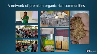 A network of premium organic rice communities