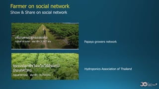 Farmer on social network
Papaya growers network
Hydroponics Association of Thailand