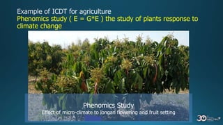 Phenomics study ( E = G*E ) the study of plants response to
climate change
Phenomics Study
Effect of micro-climate to longan flowering and fruit setting