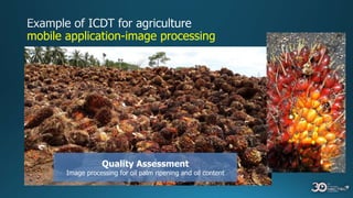 mobile application-image processing
Quality Assessment
Image processing for oil palm ripening and oil content