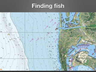 Finding ﬁsh
 